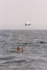 1988. Exploring the 'man at sea' rescue with a kite